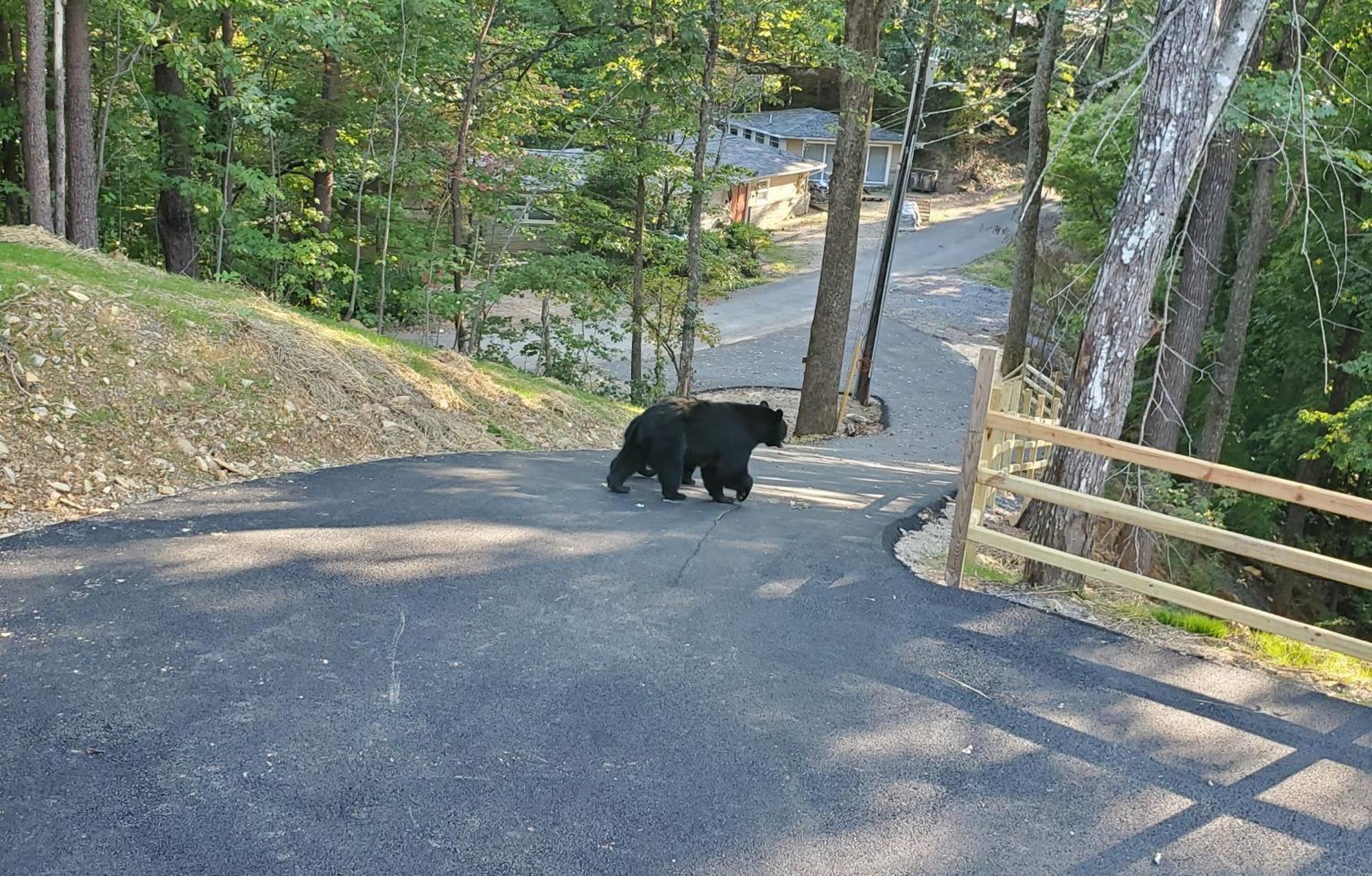 Can'T "Bear" To Leave Villa Sevierville Exterior foto